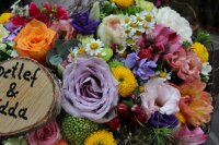 ein Bild aus dem Album